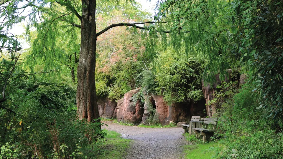 A leafy garden path surrounded by trees and rock formations at Geografisk Have